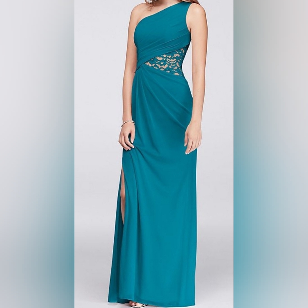 David’s Bridal One-Shoulder Mesh Dress With Lace Inset Bridesmaid dress.